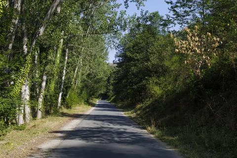A beautiful empty road surrounded by trees in the countryside of Spain. Stock Photos