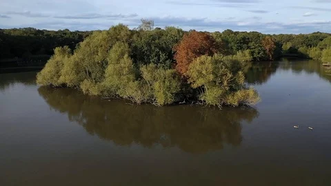 Beautiful Epping Forest with drone, north London, England. Stock Footage 116974971