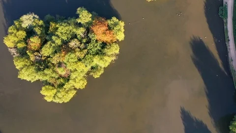 Beautiful Epping Forest with drone, north London, England. Stock Footage 116974997