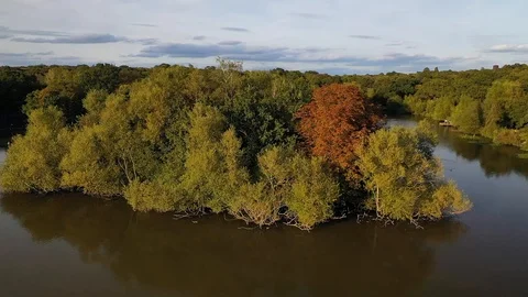 Beautiful Epping Forest with drone, north London, England. Stock Footage 116975022
