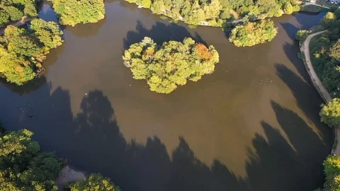 Beautiful Epping Forest with drone, north London, England. Stock Footage 116975034