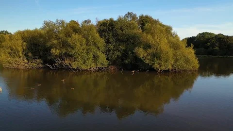 Beautiful Epping Forest with drone, north London, England. Stock Footage 116975053