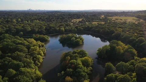 Beautiful Epping Forest with drone, north London, England. Stock Footage