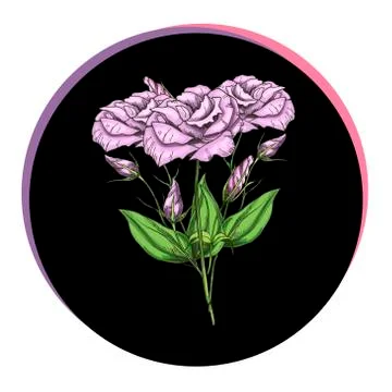 Beautiful eustoma flowers in a black circle. Floral vector. Stock Illustration