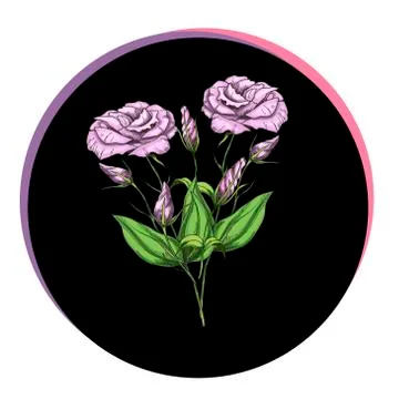 Beautiful eustoma flowers in a black circle. Floral vector. Stock Illustration