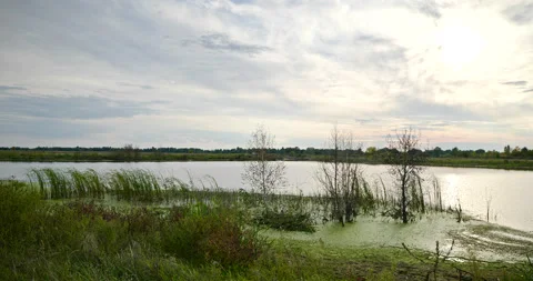 Beautiful Evening Cloudscape Scenic Sky Above River. Country Rural Scene Field P Stock Footage 218134878