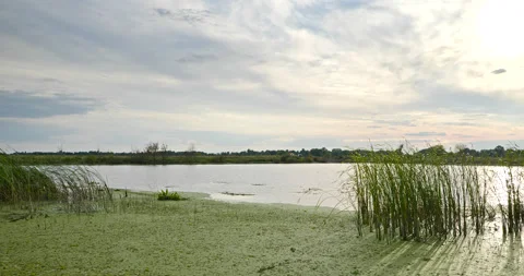 Beautiful Evening Cloudscape Scenic Sky Above River. Country Rural Scene Field P Stock Footage 218135025