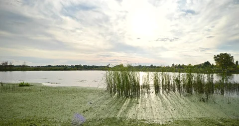 Beautiful Evening Cloudscape Scenic Sky Above River. Country Rural Scene Field P Stock Footage 218135113