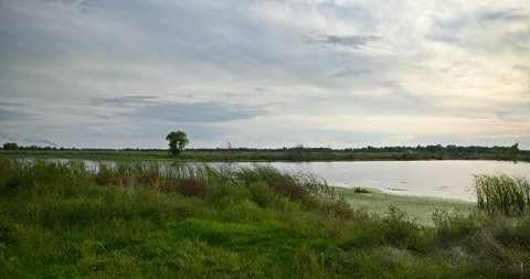 Beautiful Evening Cloudscape Scenic Sky Above River. Country Rural Scene Field P Stock Footage 218135184