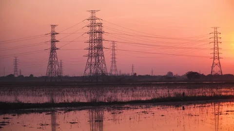 Beautiful evening In the flooded rice fields. Video stock 129097490