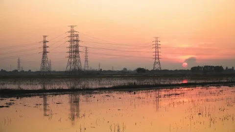 Beautiful evening In the flooded rice fields. Video stock 129097530