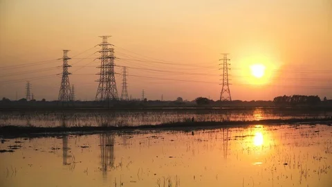 Beautiful evening In the flooded rice fields. Stock Footage 129097723