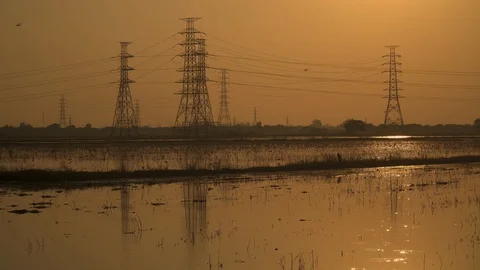 Beautiful evening In the flooded rice fields. Stock Footage 129098108