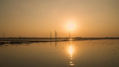 Beautiful evening In the flooded rice fields. Stock Footage 129098132