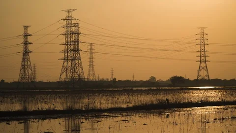 Beautiful evening In the flooded rice fields. Stock Footage 129098402