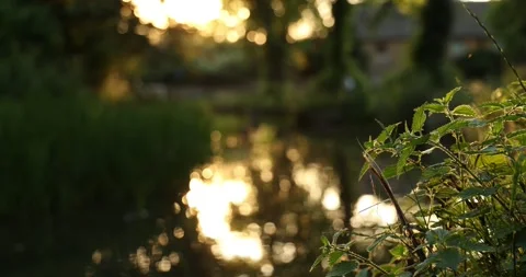 Beautiful Evening Light in the village of Lower Slaughter, Cotswolds AONB, UK Stock Footage 346142747