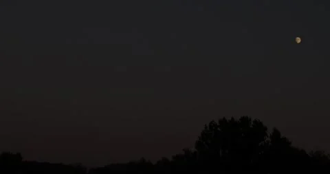 Beautiful evening with moon over a tree silhouette Stock Footage 160679178