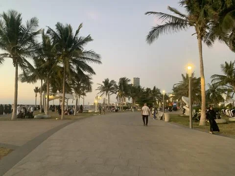 The beautiful evening with the park Stock Photos