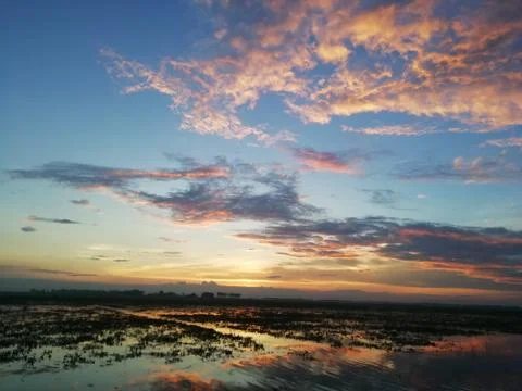 Beautiful Evening Stock Photos