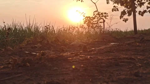 Beautiful Evening Sky Video stock 255082624