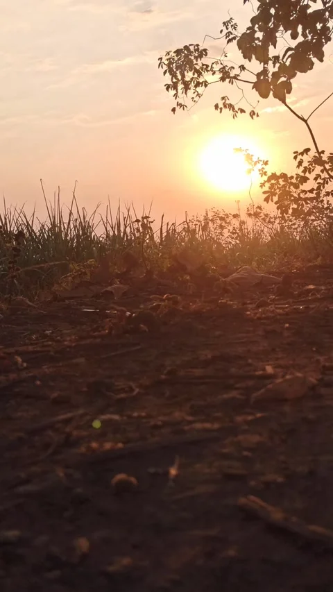 Beautiful Evening Sky Video stock 255082640