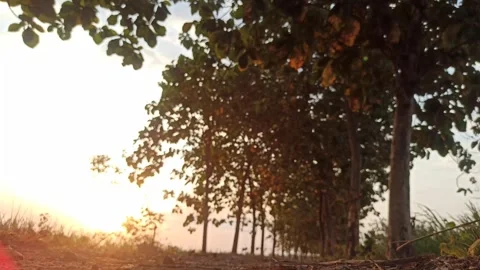 Beautiful Evening Sky Stock Footage 255082657