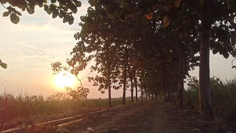 Beautiful Evening Sky Video stock 255082658