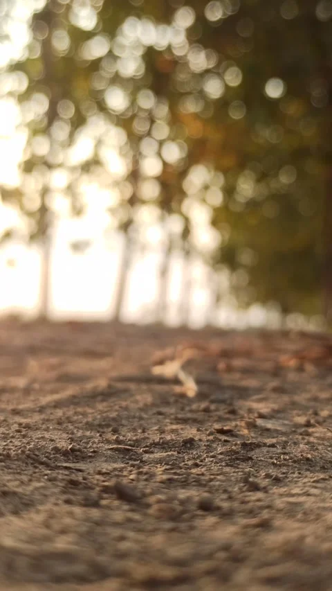 Beautiful Evening Sky Video stock 255082871