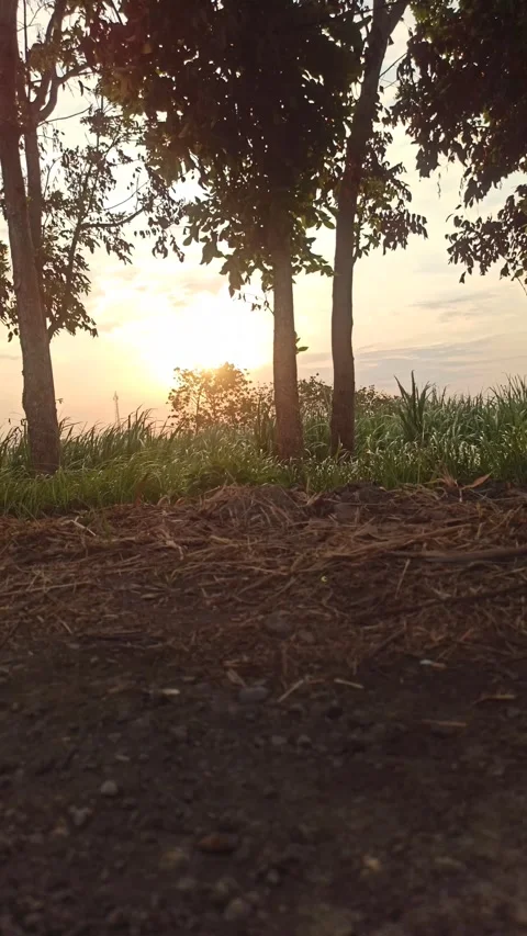 Beautiful Evening Sky Stock Footage 255082872