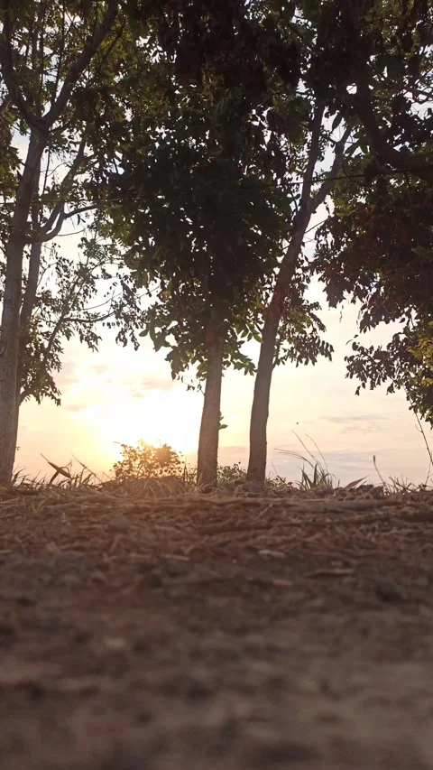 Beautiful Evening Sky Stock-Footage 255082873