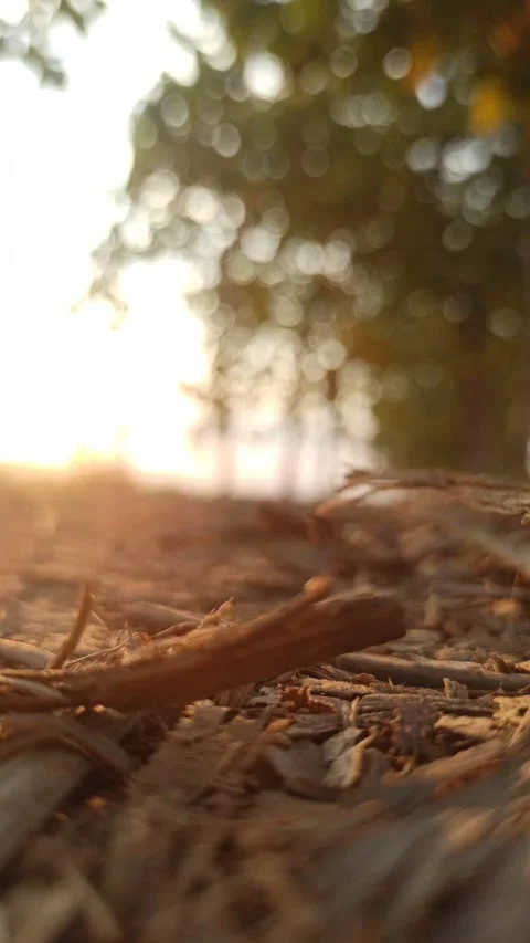 Beautiful Evening Sky Stock-Footage 255082922