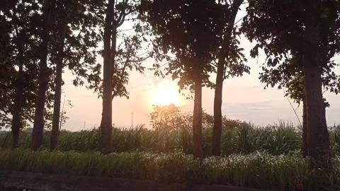 Beautiful Evening Sky Stock Footage 255082955