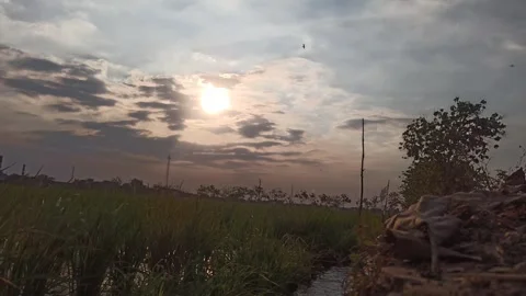 Beautiful Evening Sky Video stock 255083849