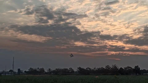 Beautiful Evening Sky Video stock 255084232