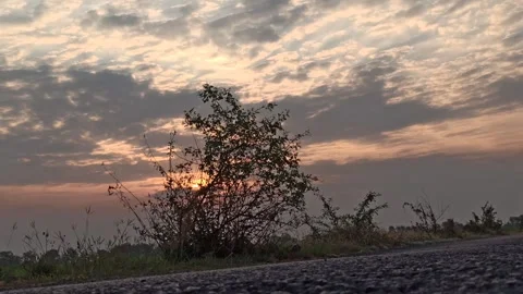 Beautiful Evening Sky Stock Footage 255084294