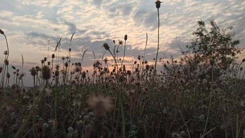 Beautiful Evening Sky Video stock 255084368