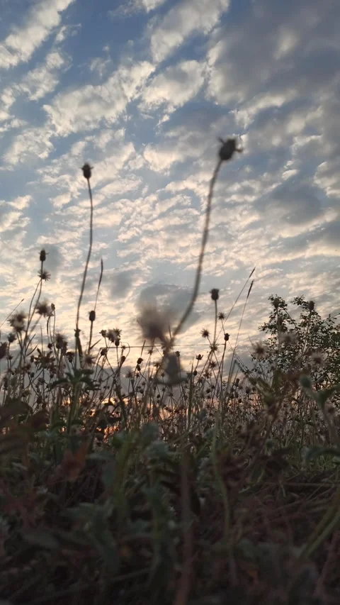 Beautiful Evening Sky Video stock 255084377