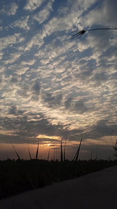 Beautiful Evening Sky Stock-Footage 255084391