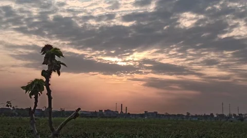 Beautiful Evening Sky Video stock 255084453