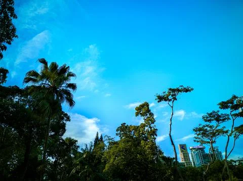 Beautiful evening sky Stock Photos