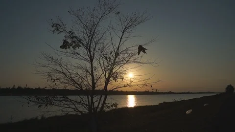 Beautiful evening sunset Stock Footage 105986461