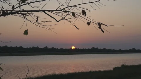 Beautiful evening sunset Stock Footage 105986475