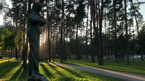 Beautiful evening sunset in the park in the middle of summer. Stock Footage 160841491