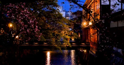 Beautiful evening view with cherry blossoms Gion district in Kyoto, Japan, Stock Footage 106656123