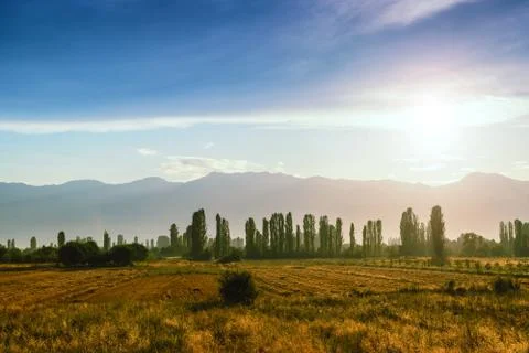 Beautiful evening view with cropped fields and mountains Stock Photos