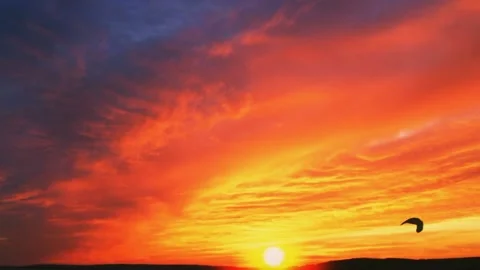 Beautiful evening violet Stock Footage 217439330