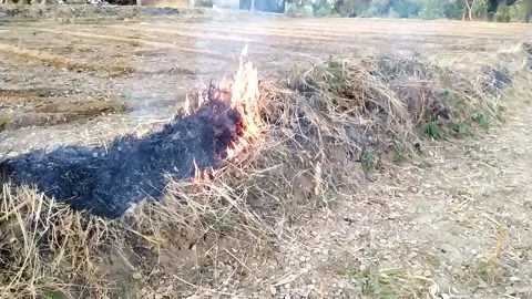 Beautiful ever view of fire and fire smoke in the field. Video stock 142885156