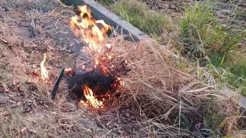 Beautiful ever view of fire smoke in the field. Video stock 142884944