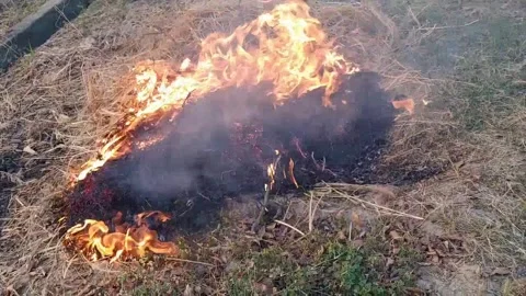 Beautiful ever view of fire smoke in the field. Stock Footage 142884949