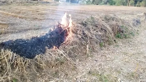 Beautiful ever view of fire smoke in the field. Stock Footage 142885171